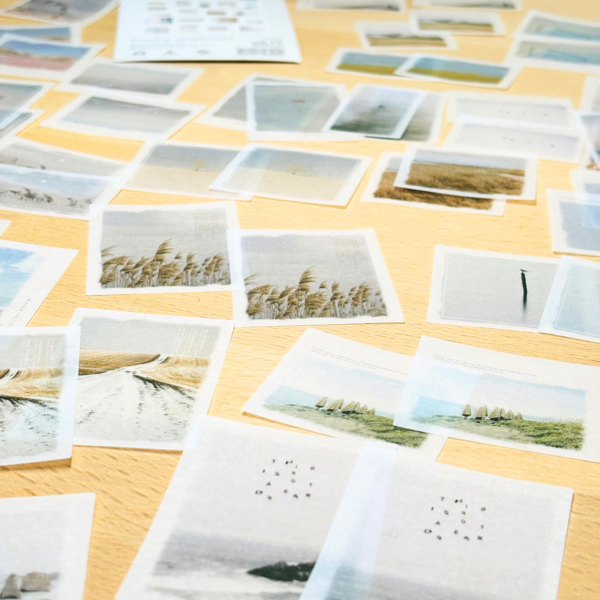 Washi Stickers - 5 Thèmes - Poetry Distance