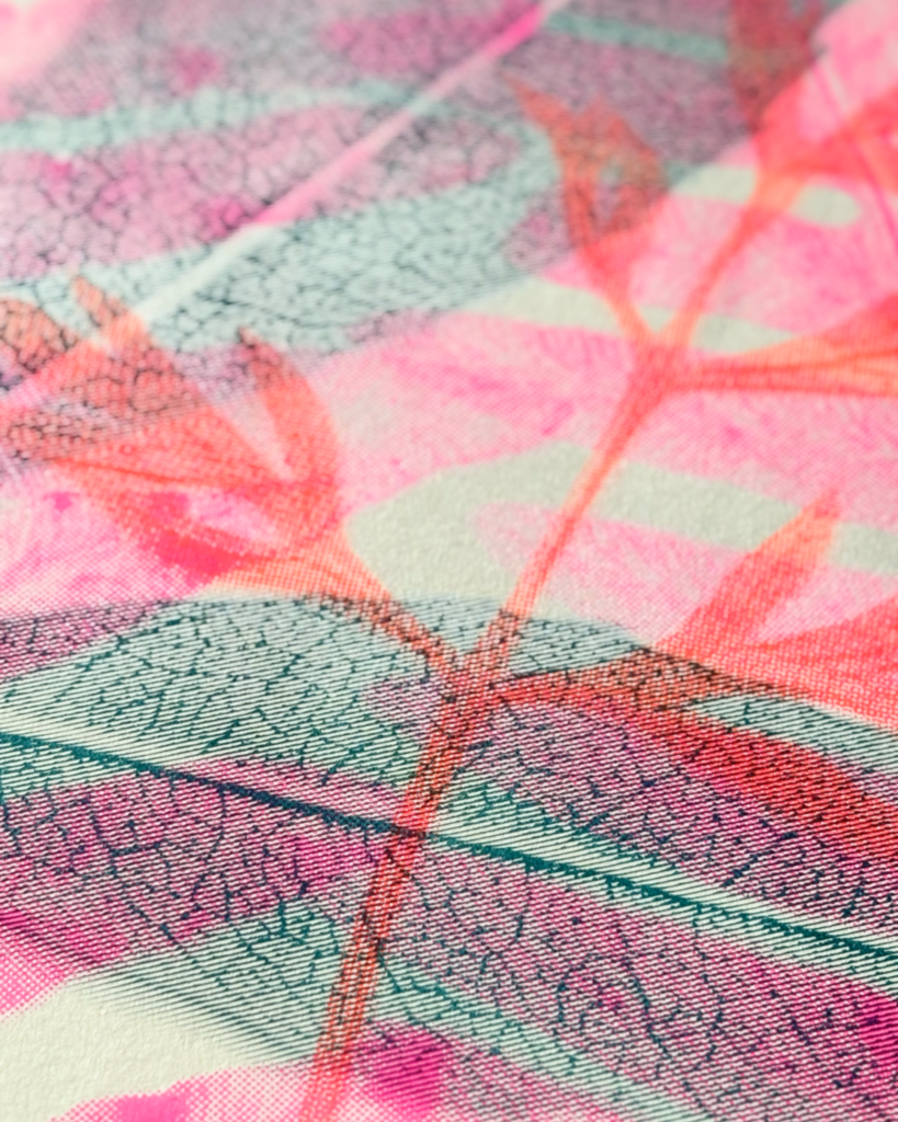 Détails risographie