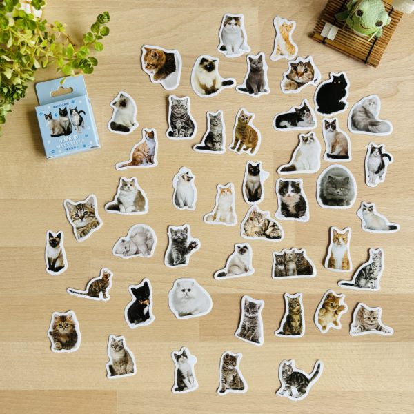 Stickers en petites boîtes – Image 8