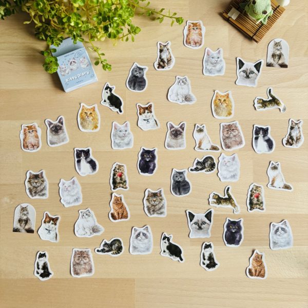 Stickers en petites boîtes – Image 8
