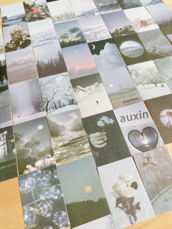 Washi Stickers Life 6 thèmes – Image 13