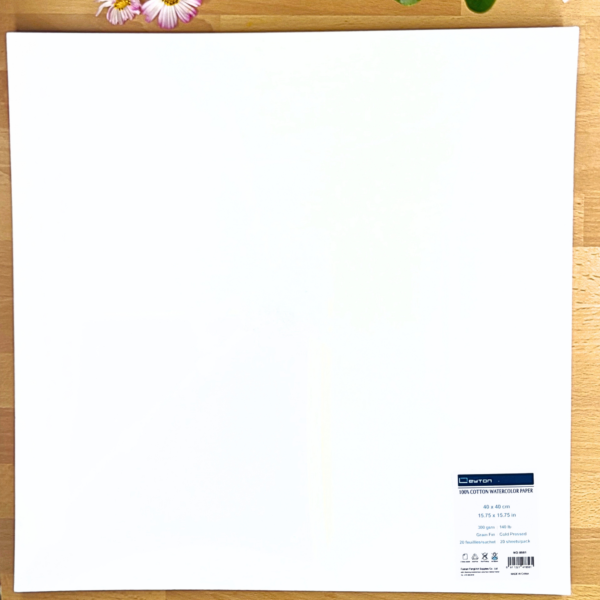 Leyton Sachet Carré 100% Coton, 300g, Grain Fin, 40cm x 40cm
